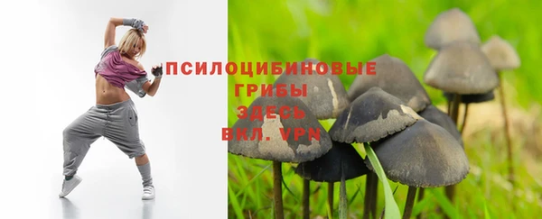 спайс Абаза