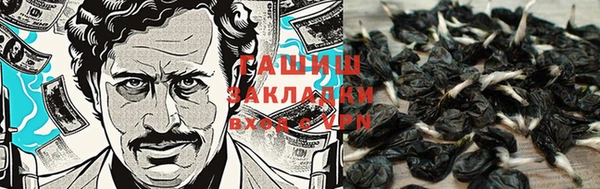 спайс Абаза