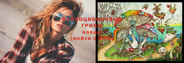 спайс Абаза