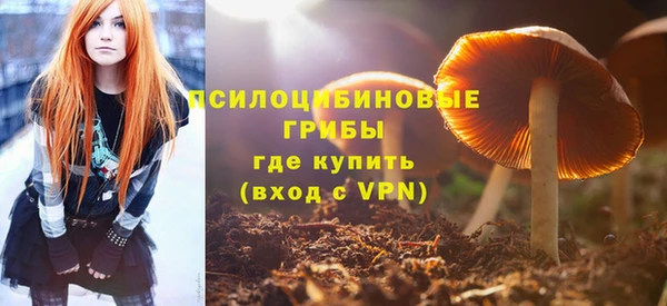 тгк Абинск