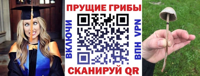 Галлюциногенные грибы Cubensis  Братск 